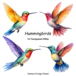 Hummingbirds Clipart