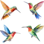 Hummingbirds Clipart Bundle