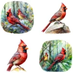 Watercolor Red Cardinal Clipart