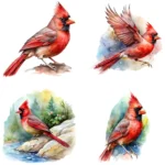 Red Cardinal Clipart