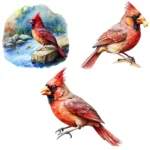 Red Cardinal