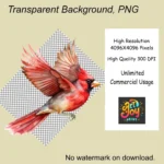 15 Watercolor Red Cardinal Clipart – High-Quality Bird PNG Graphics, Digital Download for Crafts & Sublimation, Commercial Use - Image 5