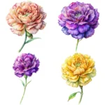 Watercolor Carnations Clipart