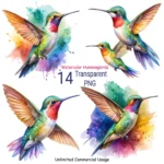 Hummingbirds Clipart