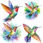 Watercolor Hummingbirds Clipart