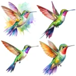 Hummingbirds Clipart