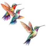 Hummingbirds Clipart