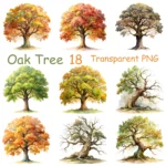 Watercolor Oak Tree Clipart