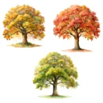 18 Oak Tree Clipart Bundle – Watercolor Tree Clipart, Buy Watercolor Oak Tree Illustrations - Image 2