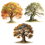 18 Oak Tree Clipart Bundle – Watercolor Tree Clipart, Buy Watercolor Oak Tree Illustrations - Image 3