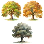 18 Oak Tree Clipart Bundle – Watercolor Tree Clipart, Buy Watercolor Oak Tree Illustrations - Image 4