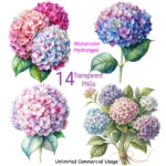 Art Joy Print hydrangea clipart bundle