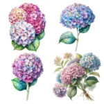 Art Joy Print hydrangea clipart bundle