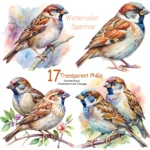 Art Joy Print Watercolor Sparrow Clipart