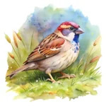 ArtJoyPrint Watercolor Sparrow Clipart