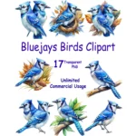 Art Joy Print Bluejay Watercolor Clipart