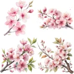 Art Joy Print Cherry Blossom Clipart