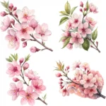 ArtJoyPrint Cherry Blossom Clipart