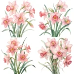 Art Joy Print Pink Daffodil Bouquet Clipart